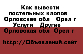 Как вывести постельных клопов - Орловская обл., Орел г. Услуги » Другие   . Орловская обл.,Орел г.